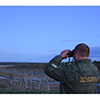 Дирекция по ООПТ Красноярского края посчитала журавлей на «Саратовском болоте» 